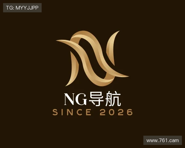 探究ng导航